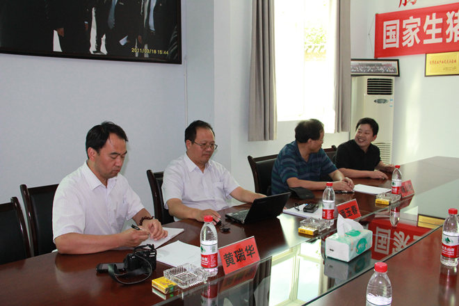 國家生豬遺傳改良計劃專家組《楊公社、潘玉春、黃瑞華》到重慶69指導工作